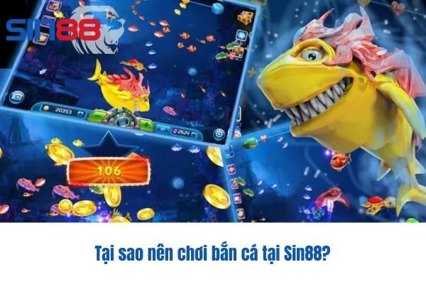 Tại sao nên chơi bắn cá tại Sin88?