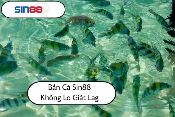 Bắn Cá Sin88 Không Lo Giật Lag