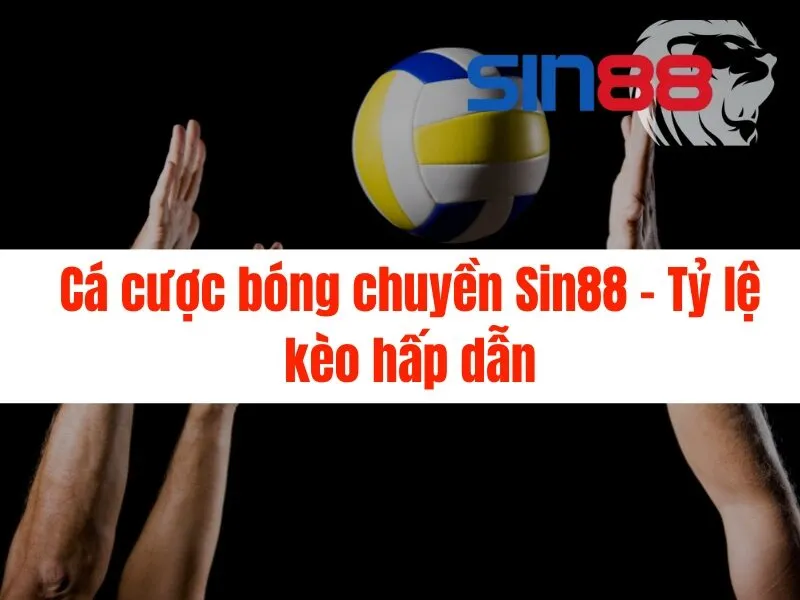 Cá cược bóng chuyền Sin88 - Tỷ lệ kèo hấp dẫn