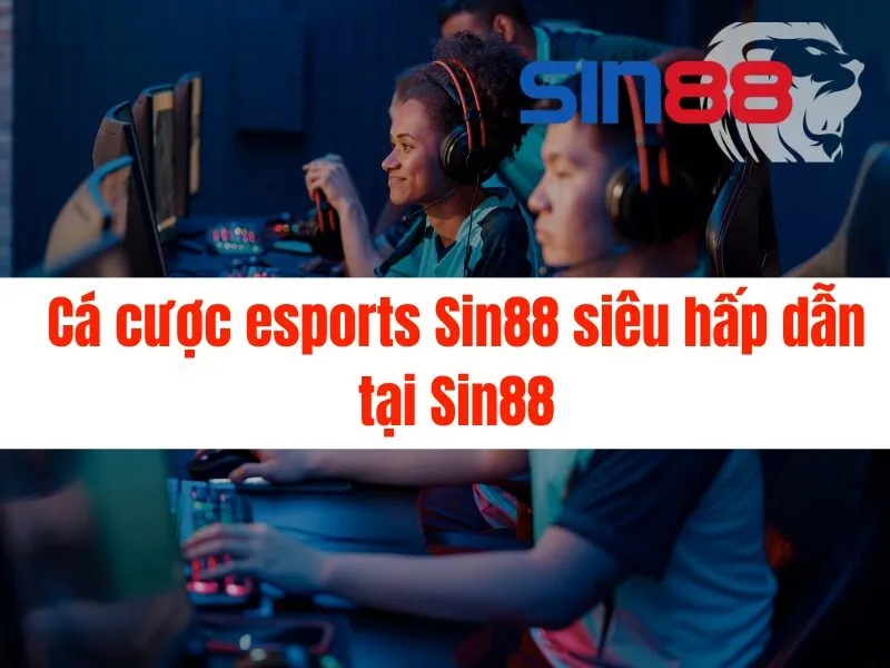 Cá cược esports Sin88 siêu hấp dẫn tại Sin88