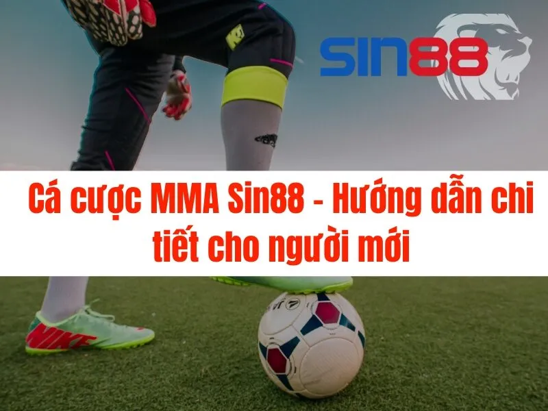 Cá cược MMA Sin88 - Hướng dẫn chi tiết cho người mới