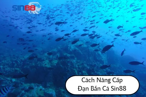 Cách nâng cấp đạn bắn cá Sin88