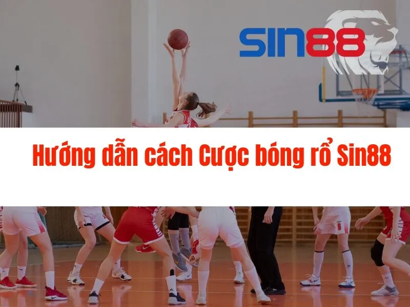 Cược bóng rổ Sin88 - Nhà cái uy tín số 1