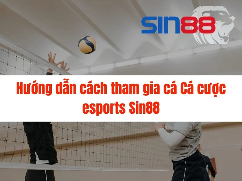 Cá cược esports Sin88 siêu hấp dẫn tại Sin88