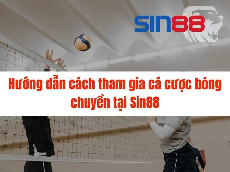 Cá cược bóng chuyền Sin88 - Tỷ lệ kèo hấp dẫn