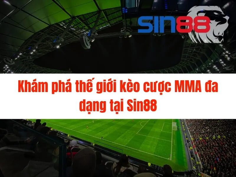 Cá cược MMA Sin88 - Hướng dẫn chi tiết cho người mới