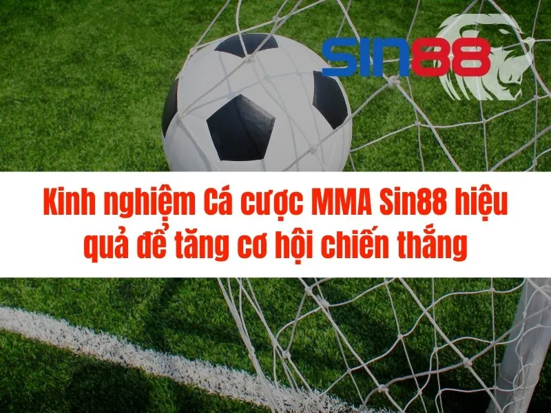 Cá cược MMA Sin88 - Hướng dẫn chi tiết cho người mới