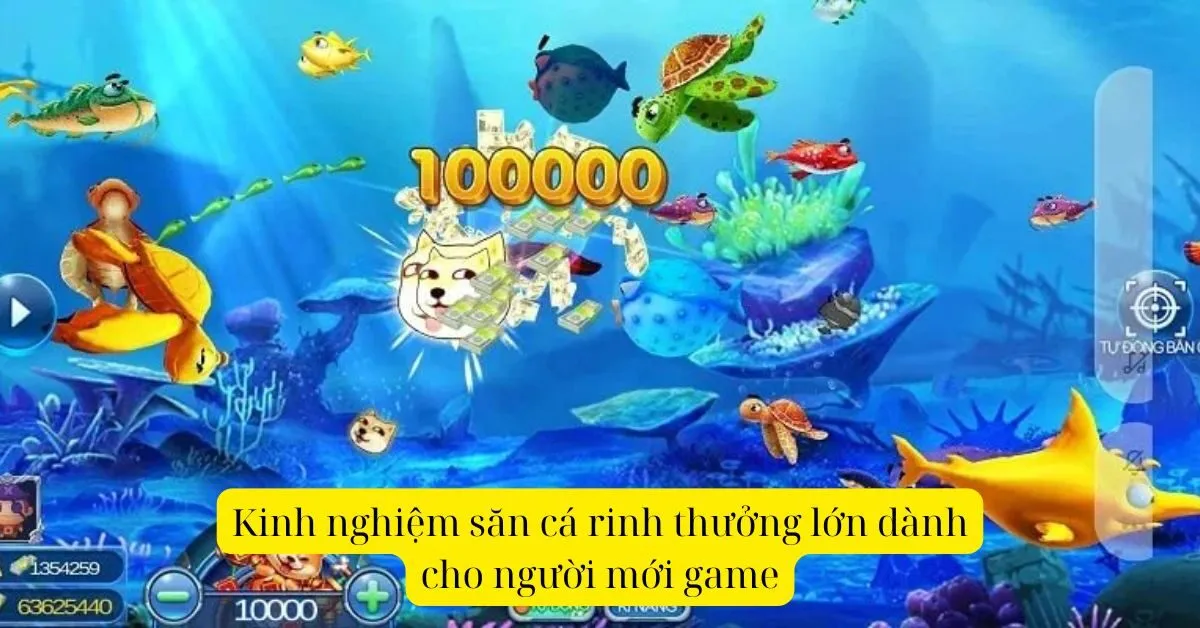 Kinh nghiệm săn cá rinh thưởng lớn dành cho người mới