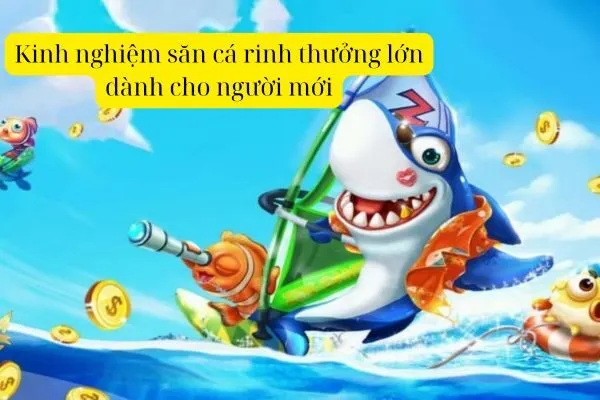 Kinh nghiệm săn cá rinh thưởng lớn dành cho người mới 