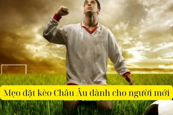 Mẹo đặt kèo Châu Âu dành cho người mới