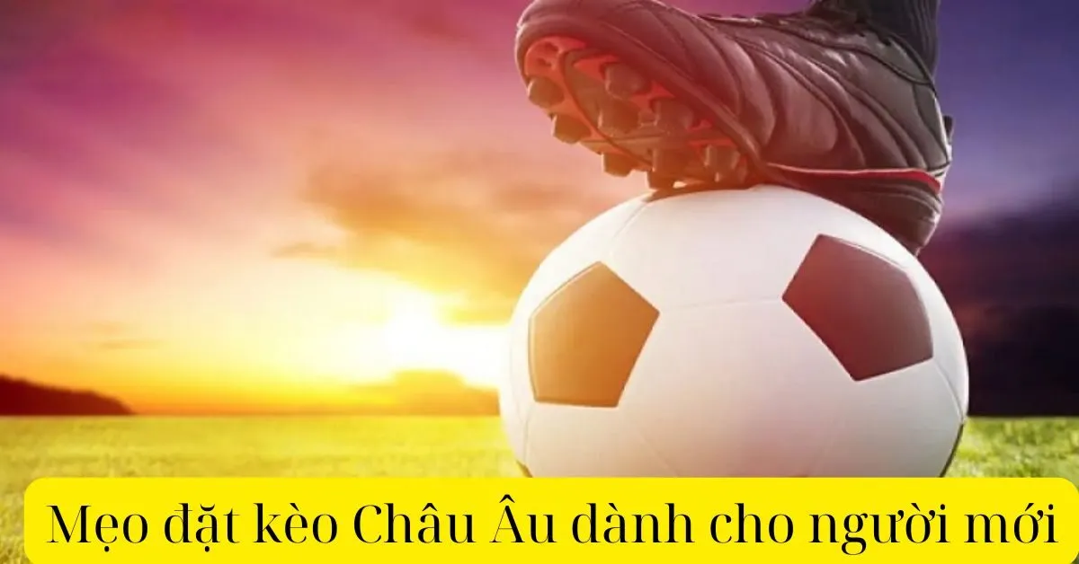 Mẹo đặt kèo Châu Âu dành cho người mới