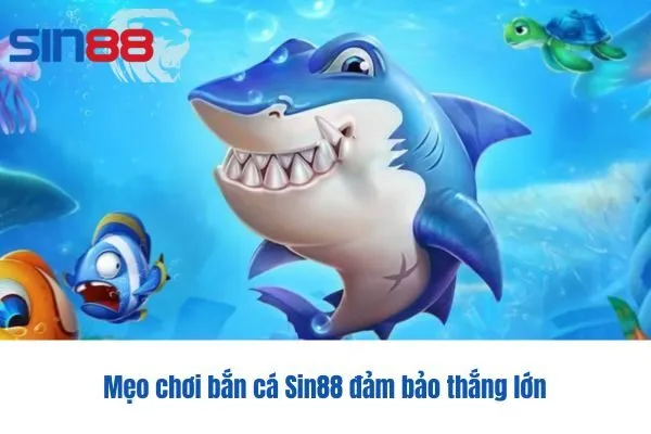 Mẹo chơi bắn cá Sin88 đảm bảo thắng lớn